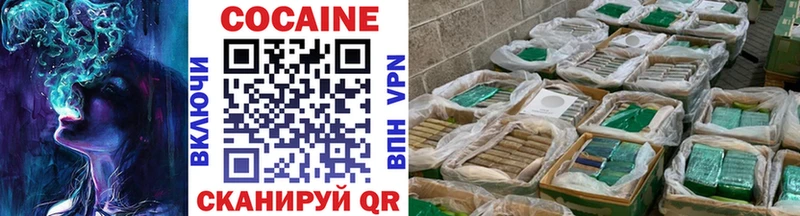 ссылка на мегу маркетплейс  купить закладку  Магас  Кокаин FishScale 
