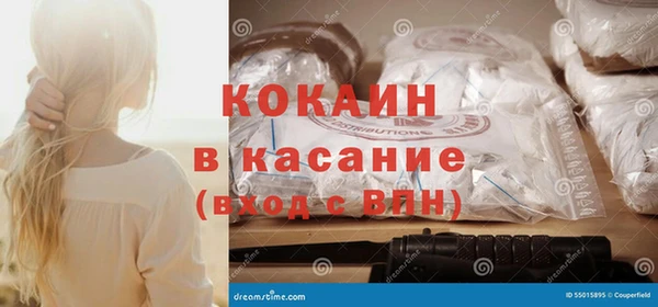 стаф Арсеньев