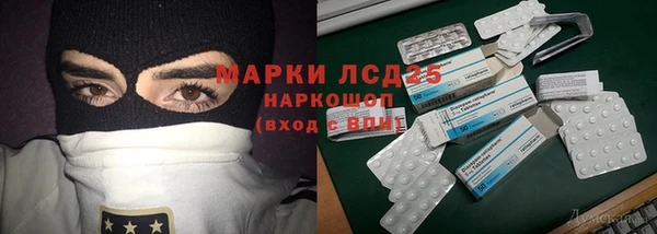 стаф Арсеньев