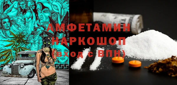 стаф Арсеньев