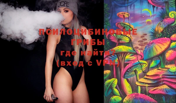 стаф Арсеньев