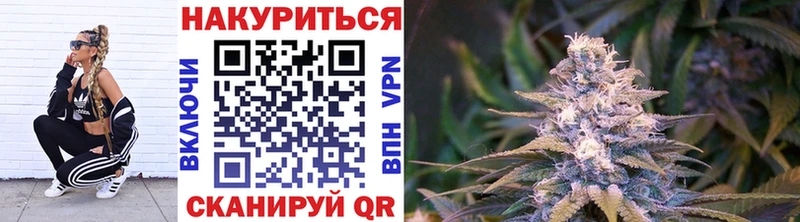 Бошки марихуана Amnesia  купить наркоту  Магас 